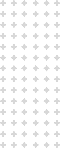 pattern-v-1 Contact