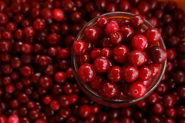 Cranberry : un allié naturel pour la santé urinaire et plus encore