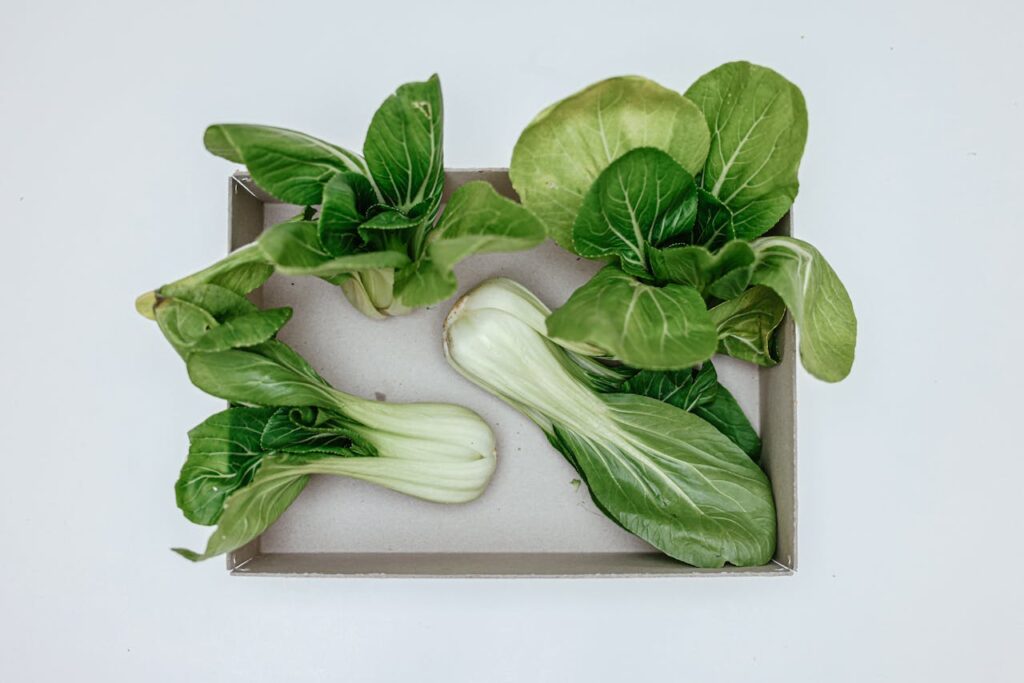 Legumes-Feuilles-Vertes-1024x683 Aliments Anti-Inflammatoires : Top 10 à Consommer Chaque Semaine