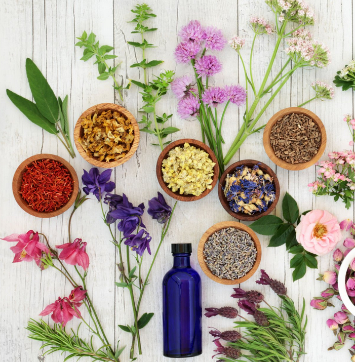 Flacons d’huiles essentielles et plantes médicinales séchées sur une table en bois, illustrant des remèdes naturels pour le bien-être quotidien.